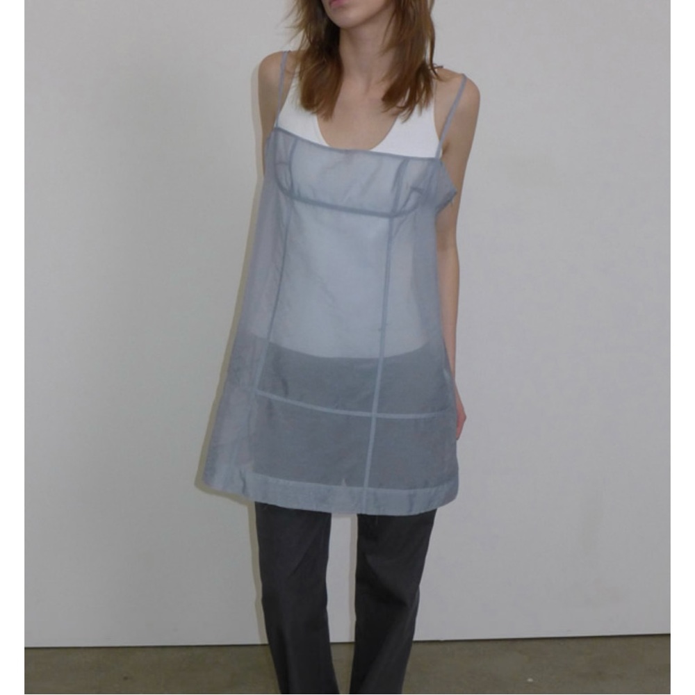 Overdue flair sheer bustier dress